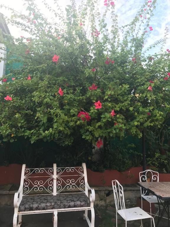 فندق كاسا لا جرانجا ايلويلو المظهر الخارجي الصورة